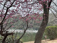 -南阳卧龙岗武侯祠