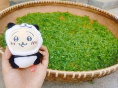 -龙坞茶村