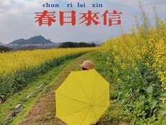 -光明小镇欢乐田园