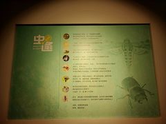 -烟台市博物馆