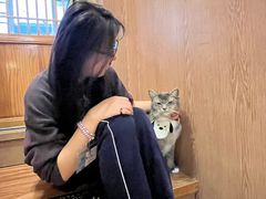 -MOCHA明星猫咖(田子坊店)