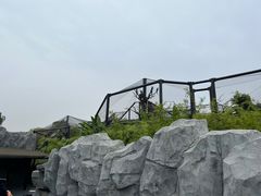 -武汉动物园