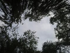 -廊坊文化艺术中心