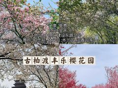 -郑州中国绿化博览园