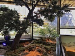 -绿茶餐厅(成都大悦城店)