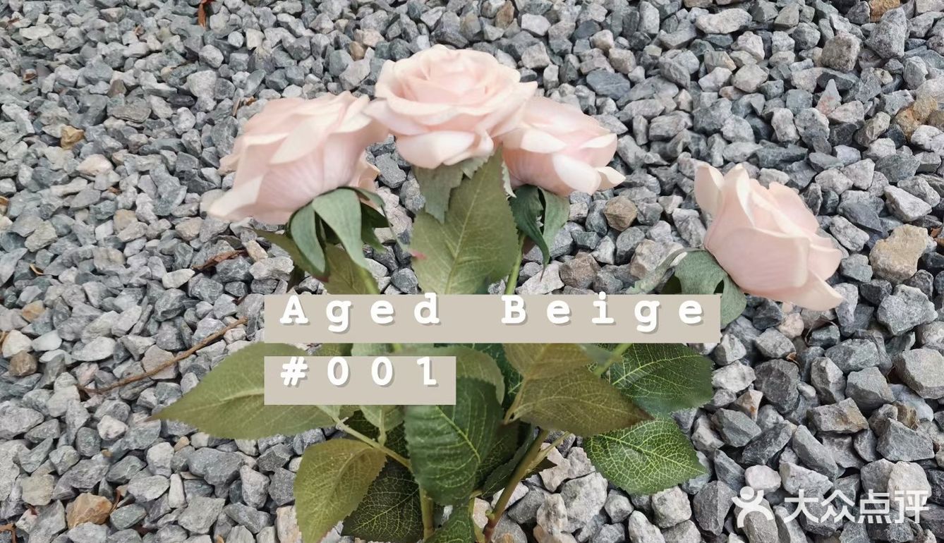 環境舒服可以坐一個下午，位置在678附近