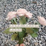 環境舒服可以坐一個下午，位置在678附近