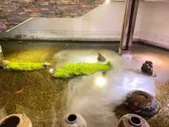 -几荷·恰似故人来(秀水广场店)