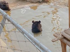 -济南野生动物世界