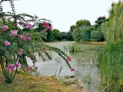 -西安浐灞国家湿地公园