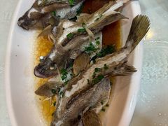 -阳江餐厅·30年老字号·粤菜海鲜大排档