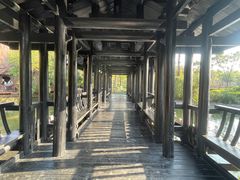-厦门园林博览苑