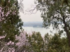 -颐和园