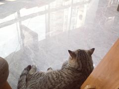 -一品格美术·中考高中成人美术培训