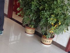 -宾朋海鲜特色美食餐厅·纯手工鲅鱼水饺(兴海路店)