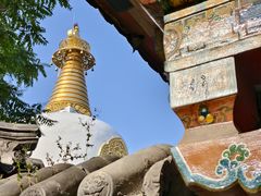 -护国法轮寺