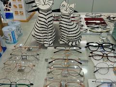-视野联行眼镜·蔡司·依视路(省体育馆店)