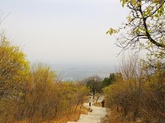 -北京西山国家森林公园