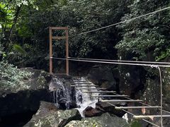 -呀诺达热带雨林
