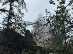 -塔云山