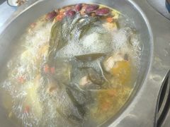 -光头药膳鸡(莱茵小镇店)