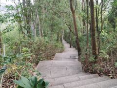 -深圳仙湖植物园