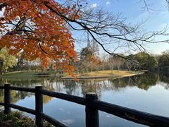-绿荫坊餐厅(共青森林公园店)