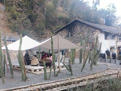 -MOJ coffee(瓯海泽雅水碓坑店)