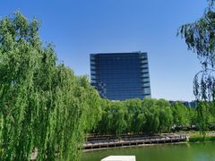 -大兴滨河森林公园