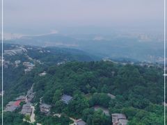 -大金鹰园