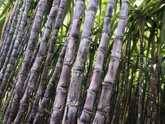 -三亚火车头万人海鲜广场