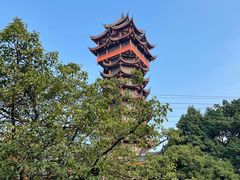 -塔子山公园