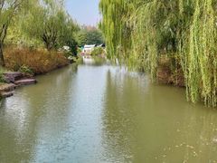 -上海滨江森林公园