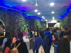 -上海大自然野生昆虫馆(东方明珠·爬宠昆虫探索中心)