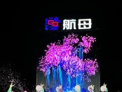 -泰达航母主题公园