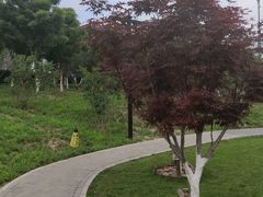 -西海子公园