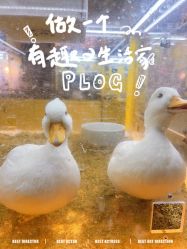 -神奇动物撸宠馆·羊驼·小浣熊·异宠(豫园店)