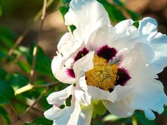 -北京西山国家森林公园