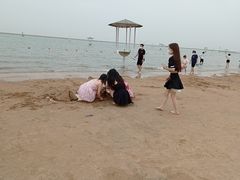 -碧海金沙