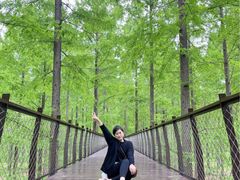 -黄海国家森林公园