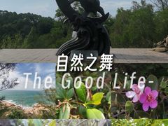 -广东惠东海龟国家级自然保护区