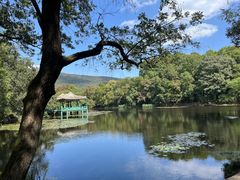 -WeLope紫金山探险公园