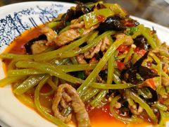 鱼香牛肉丝-伊兰麒兰馨园·川菜·清真馆(339电视塔店)