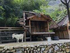 -幽岚山·童话森林