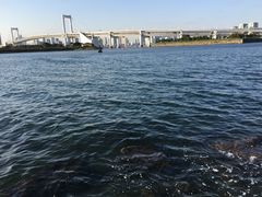 -台场海滨公园船码头