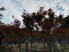 -广州市帽峰山景区
