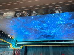 -屋有岛沉浸游戏旗舰店(中山公园店)