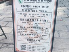 -西双版纳原始森林公园