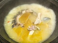 鲜汤活鱼-贺庄·活鱼馆(珠吉路店)