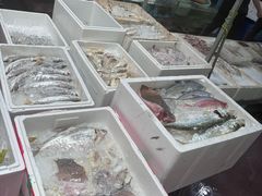 -隆都四季香饭店(碧海路店)